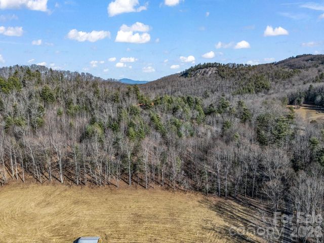 171 Justamere Lane, Hendersonville, NC 28739