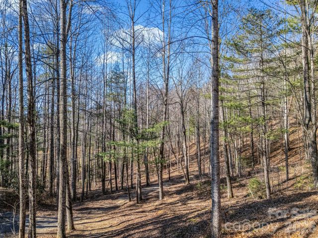 171 Justamere Lane, Hendersonville, NC 28739