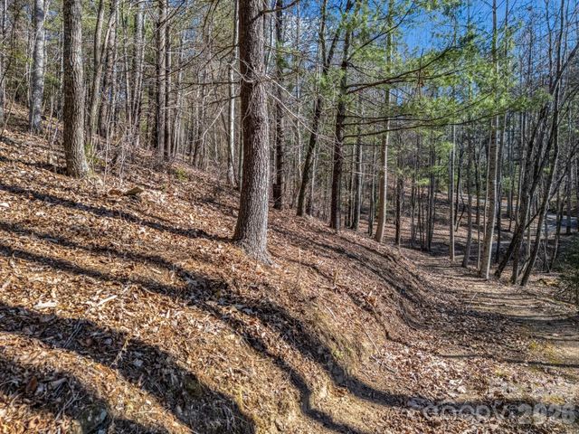 171 Justamere Lane, Hendersonville, NC 28739