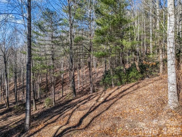 171 Justamere Lane, Hendersonville, NC 28739