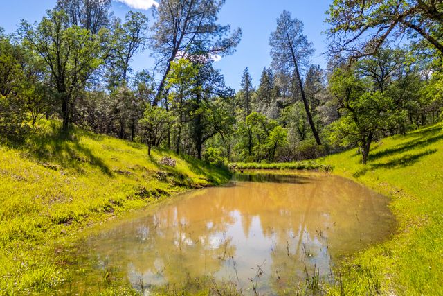 14240 Gordon Drive, Bella Vista, CA 96008