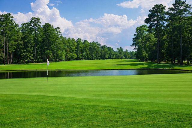 25307 Piney Bend Court, Spring, TX 77389