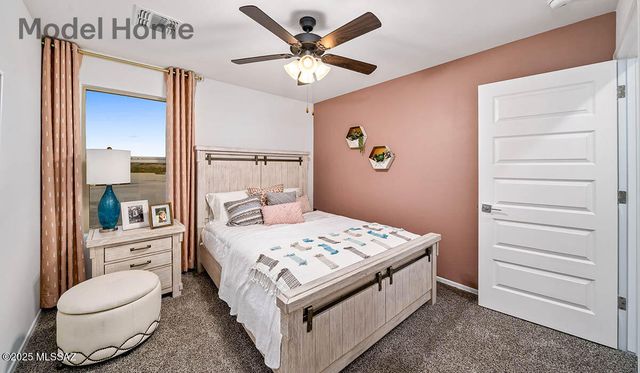 10012 N Guayacan Trail, Marana, AZ 85653