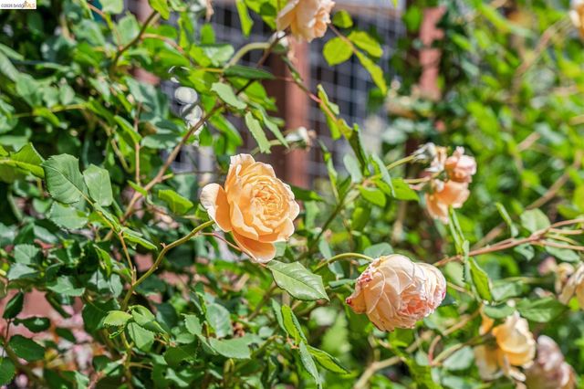 6383 Valley View Rd, Oakland, CA 94611