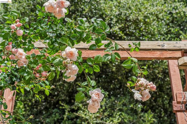 6383 Valley View Rd, Oakland, CA 94611