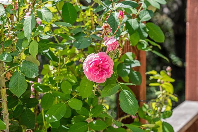 6383 Valley View Rd, Oakland, CA 94611