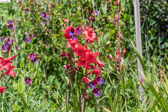 6383 Valley View Rd, Oakland, CA 94611