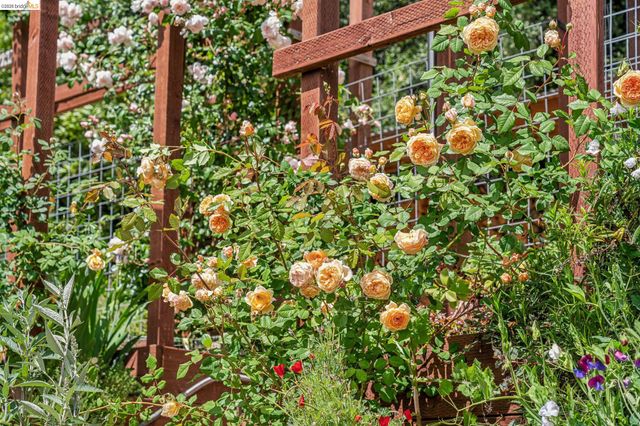 6383 Valley View Rd, Oakland, CA 94611