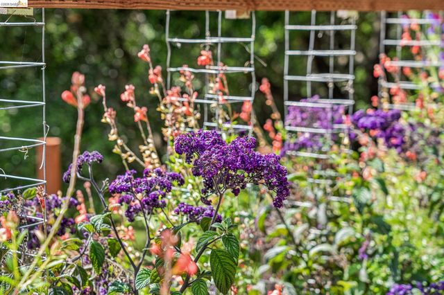 6383 Valley View Rd, Oakland, CA 94611