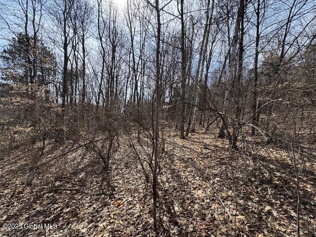 65 Deer Run Way, Hartford, NY 12838