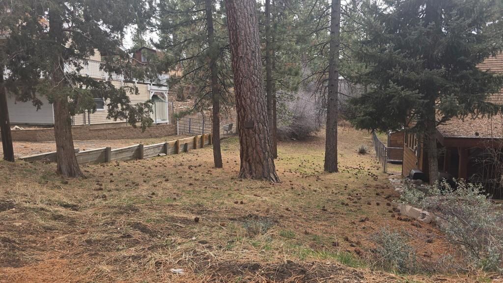 0 Conifer Conifer, Big Bear, CA 92315
