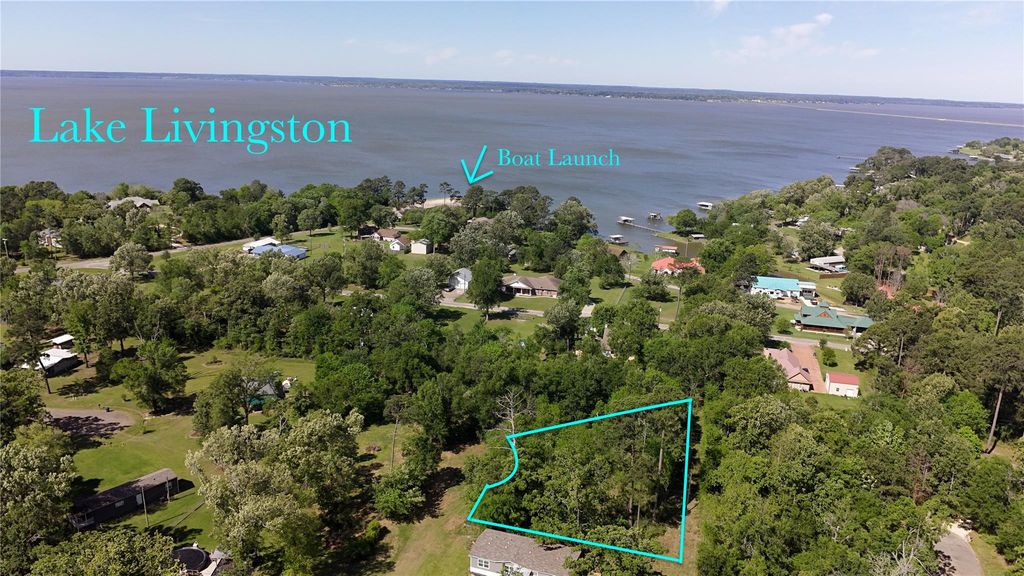 TBD Pine Grove Drive, Onalaska, TX 77360