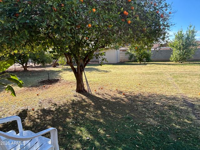 10517 W CATALINA Drive, Avondale, AZ 85392