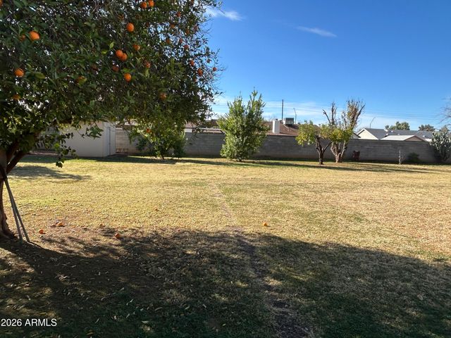 10517 W CATALINA Drive, Avondale, AZ 85392