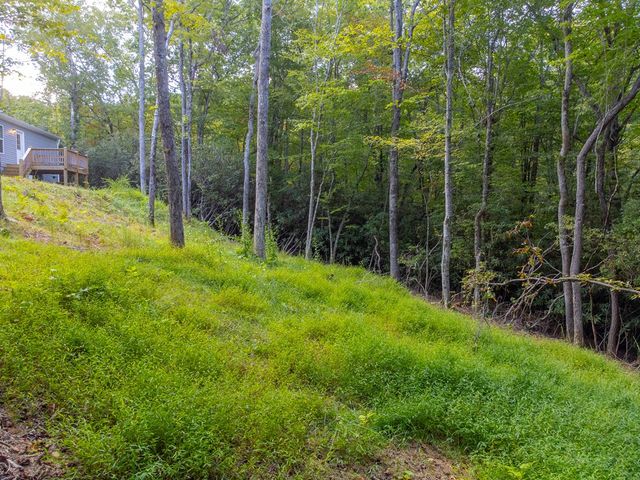 75 Windswept Lane, Hayesville, NC 28904