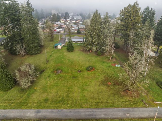 245 W 2ND St, Ryderwood, WA 98581