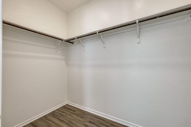 1107 Winifred DR, Austin, TX 78748