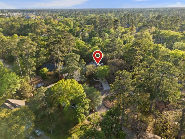 9 Lilium Court, The Woodlands, TX 77380