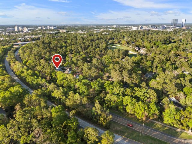 9 Lilium Court, The Woodlands, TX 77380