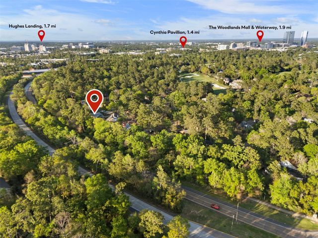 9 Lilium Court, The Woodlands, TX 77380