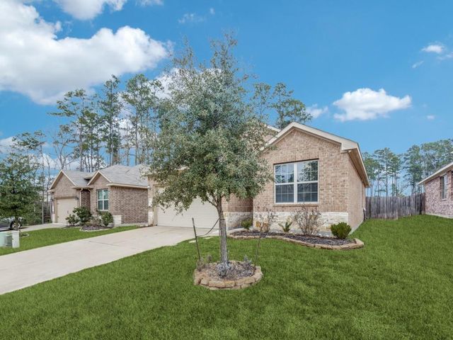 14214 Glacier Bay Court, Conroe, TX 77384