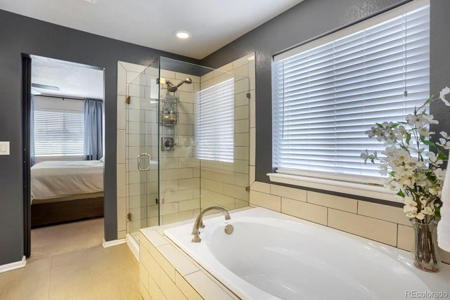 2728 Garganey Drive, Castle Rock, CO 80104