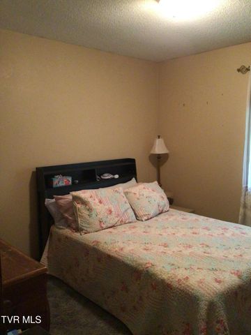 10375 107 Cutoff, Greeneville, TN 37743