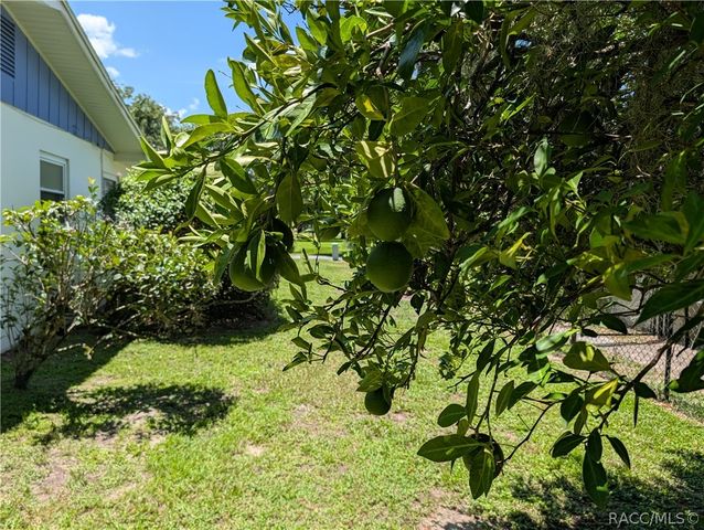 3505 S Country Club Drive, Inverness, FL 34450
