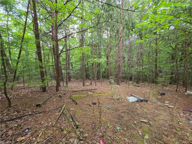 179 Caseys Crossing Trail, Lowgap, NC 27024
