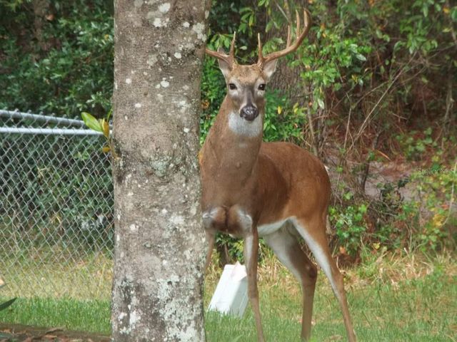 11536 SW 140TH LOOP, Dunnellon, FL 34432