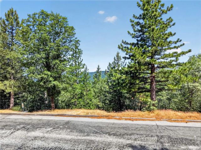 30308 Leprechaun, Running Springs, CA 92382