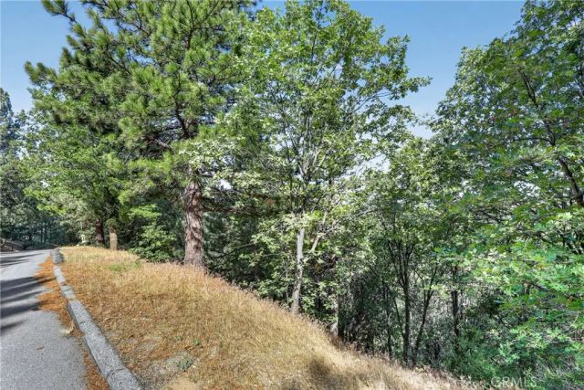 30308 Leprechaun, Running Springs, CA 92382