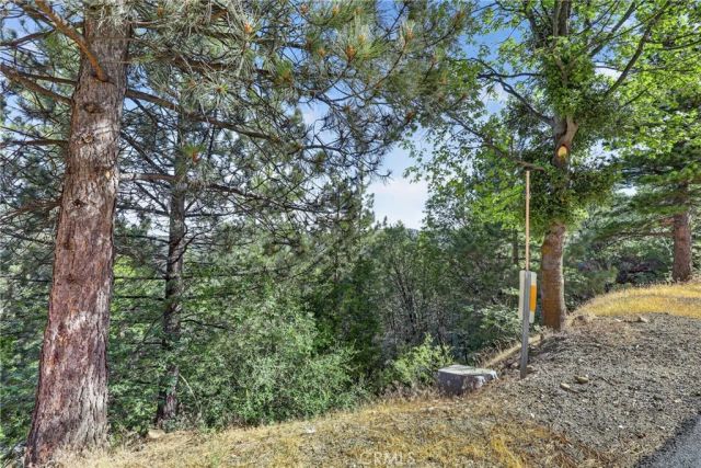30308 Leprechaun, Running Springs, CA 92382