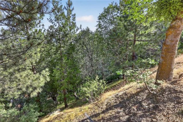 30308 Leprechaun, Running Springs, CA 92382