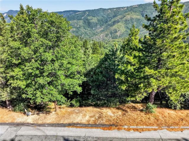 30308 Leprechaun, Running Springs, CA 92382