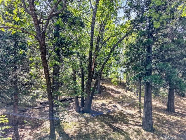 30308 Leprechaun, Running Springs, CA 92382