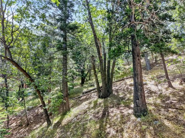 30308 Leprechaun, Running Springs, CA 92382