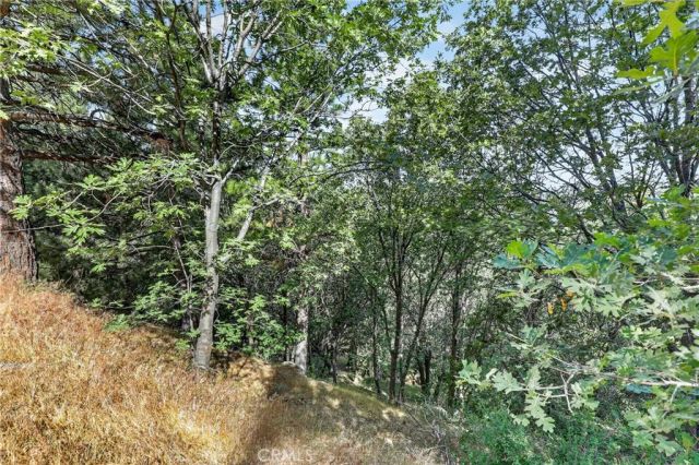 30308 Leprechaun, Running Springs, CA 92382