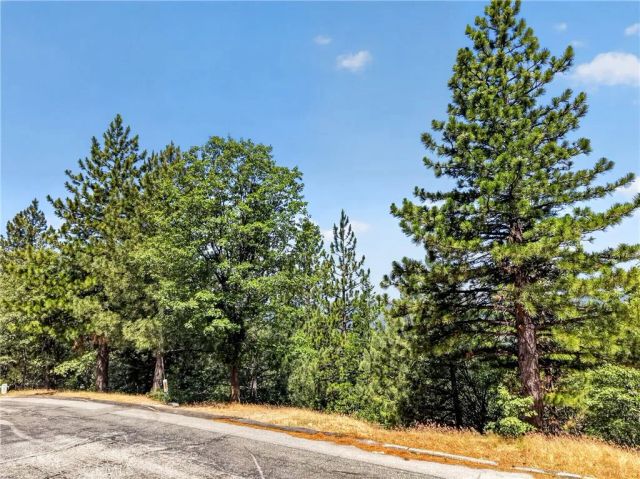 30308 Leprechaun, Running Springs, CA 92382