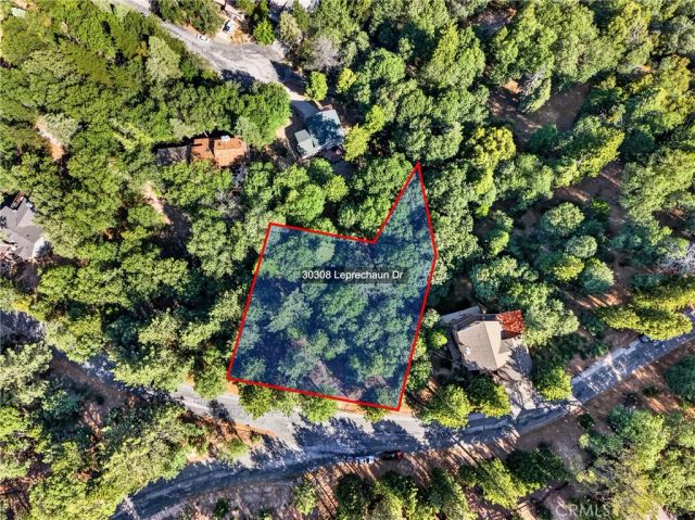 30308 Leprechaun, Running Springs, CA 92382