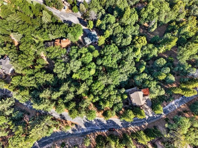 30308 Leprechaun, Running Springs, CA 92382
