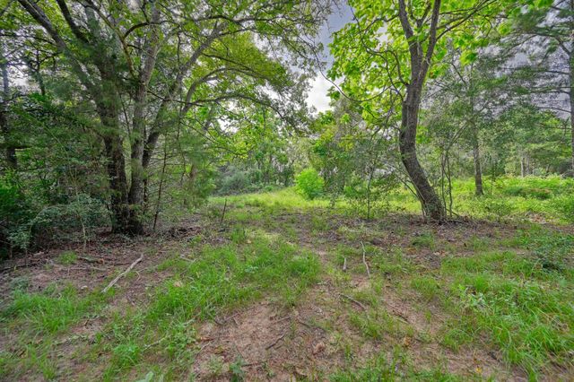 519 Sunflower Lane, New Ulm, TX 78950