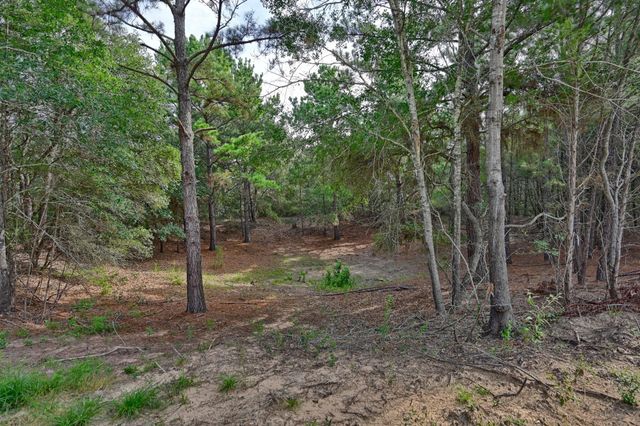 519 Sunflower Lane, New Ulm, TX 78950