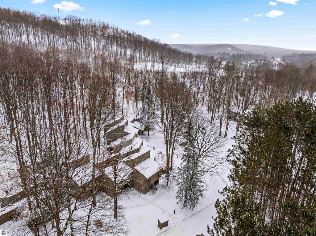 Image 33 of property listing at 2500 Josef Strasse # 410-411, Bellaire, MI 49615