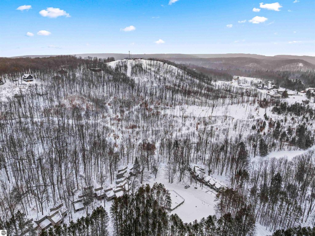 Image 41 of property listing at 2500 Josef Strasse # 410-411, Bellaire, MI 49615