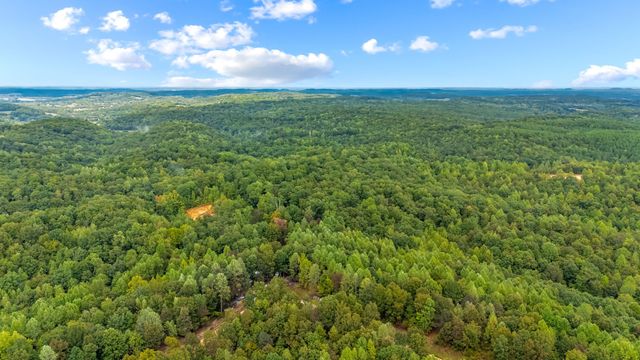 0 Baptist Branch Rd, E, Mount Pleasant, TN 38474