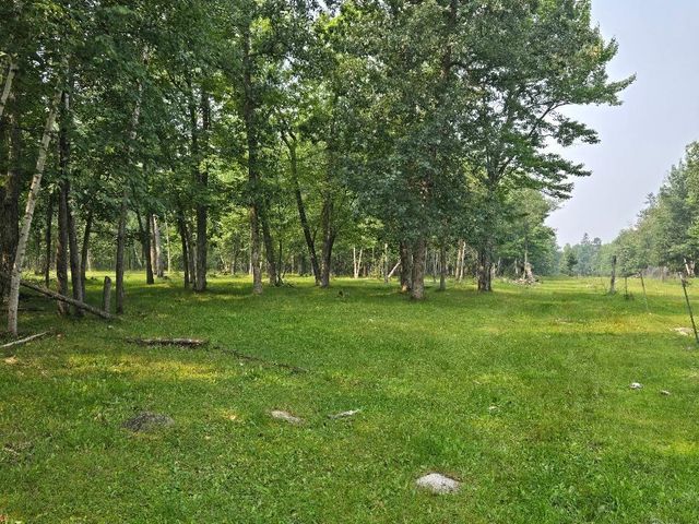 TBD State 87 SW, Backus, MN 56435