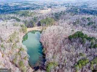 0 Williams TRACT D Lane, Ball Ground, GA 30107