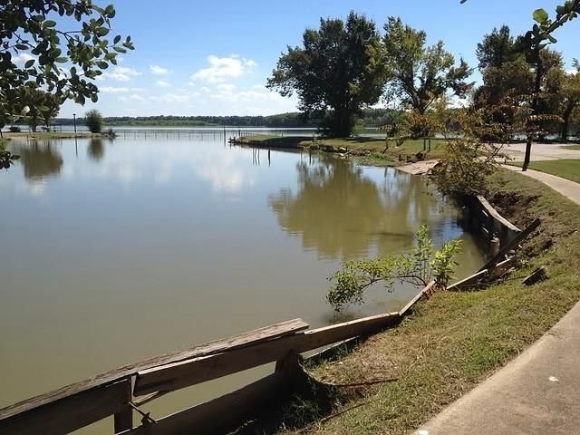 154 Pintail Lane, Trinity, TX 75862