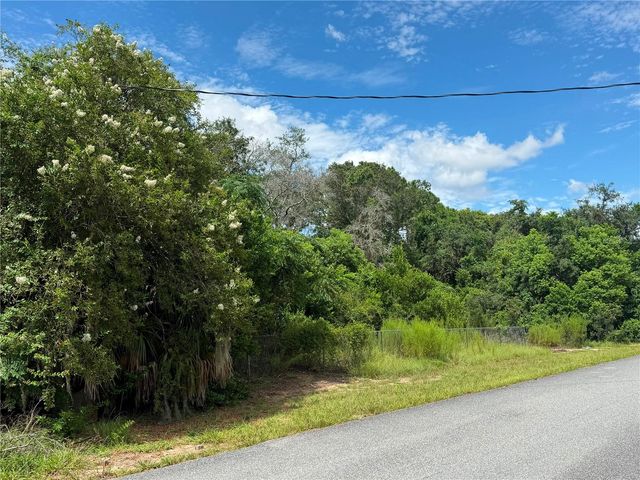 12365 BARROW STREET, Spring Hill, FL 34609